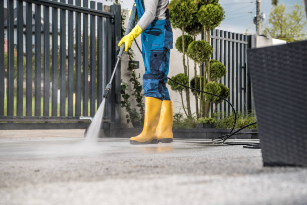 Best Driveway Pressure Washing  in Tara Hills, CA